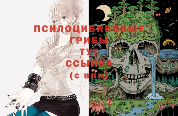 mix Баксан