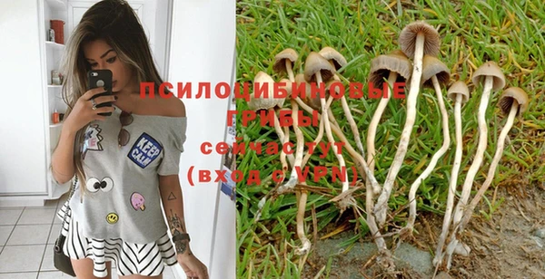 mix Баксан