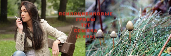 mix Баксан
