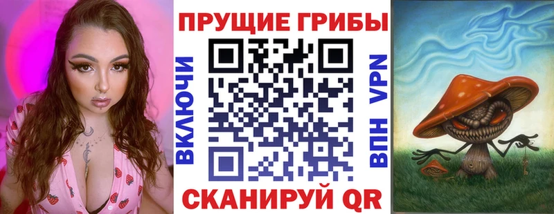 Псилоцибиновые грибы мицелий  что такое   Геленджик 