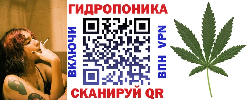 Шишки марихуана сатива  Геленджик 